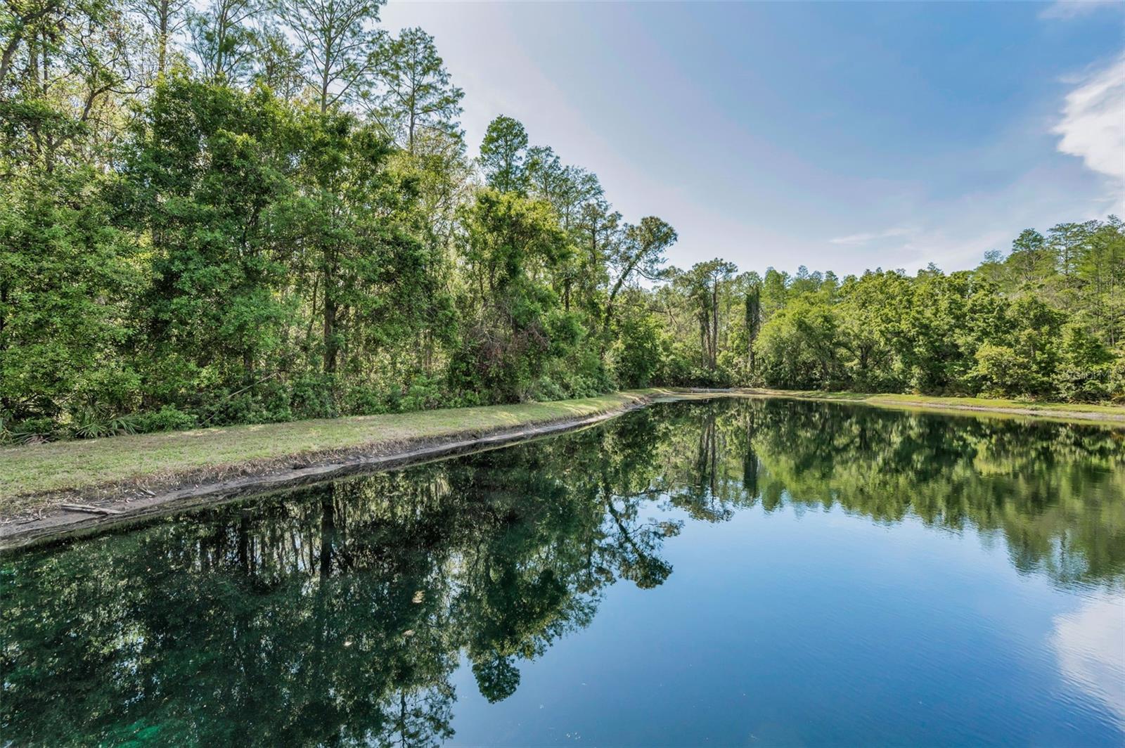 1615 CORTLEIGH DR, NEW PORT RICHEY, FL, 34655