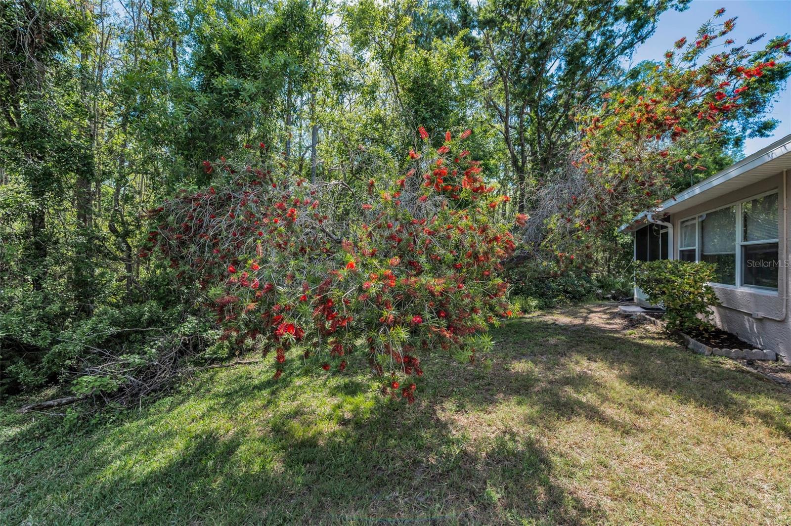 1615 CORTLEIGH DR, NEW PORT RICHEY, FL, 34655