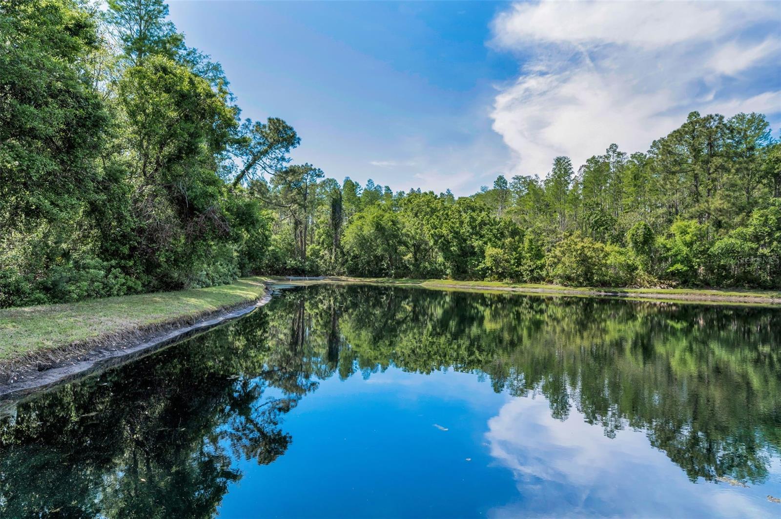 1615 CORTLEIGH DR, NEW PORT RICHEY, FL, 34655