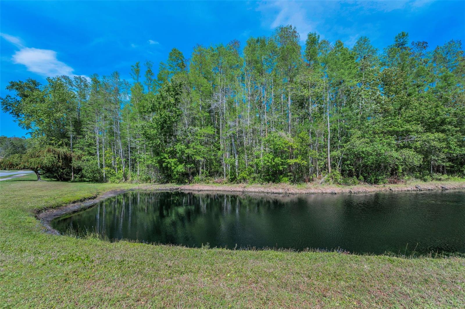 1615 CORTLEIGH DR, NEW PORT RICHEY, FL, 34655