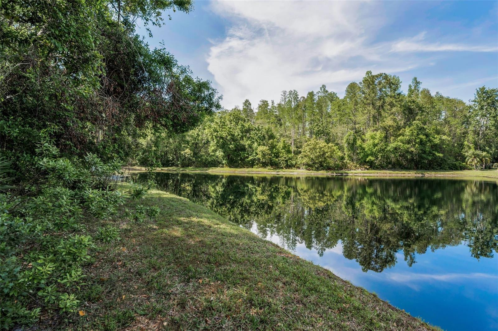 1615 CORTLEIGH DR, NEW PORT RICHEY, FL, 34655