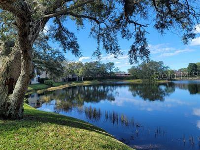 601 N KEENE RD #P9, CLEARWATER, FL, 33755