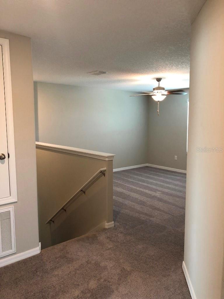 10114 CRESTED FRINGE DR, RIVERVIEW, FL, 33578