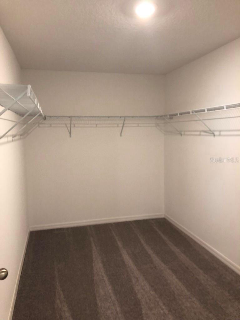 10114 CRESTED FRINGE DR, RIVERVIEW, FL, 33578