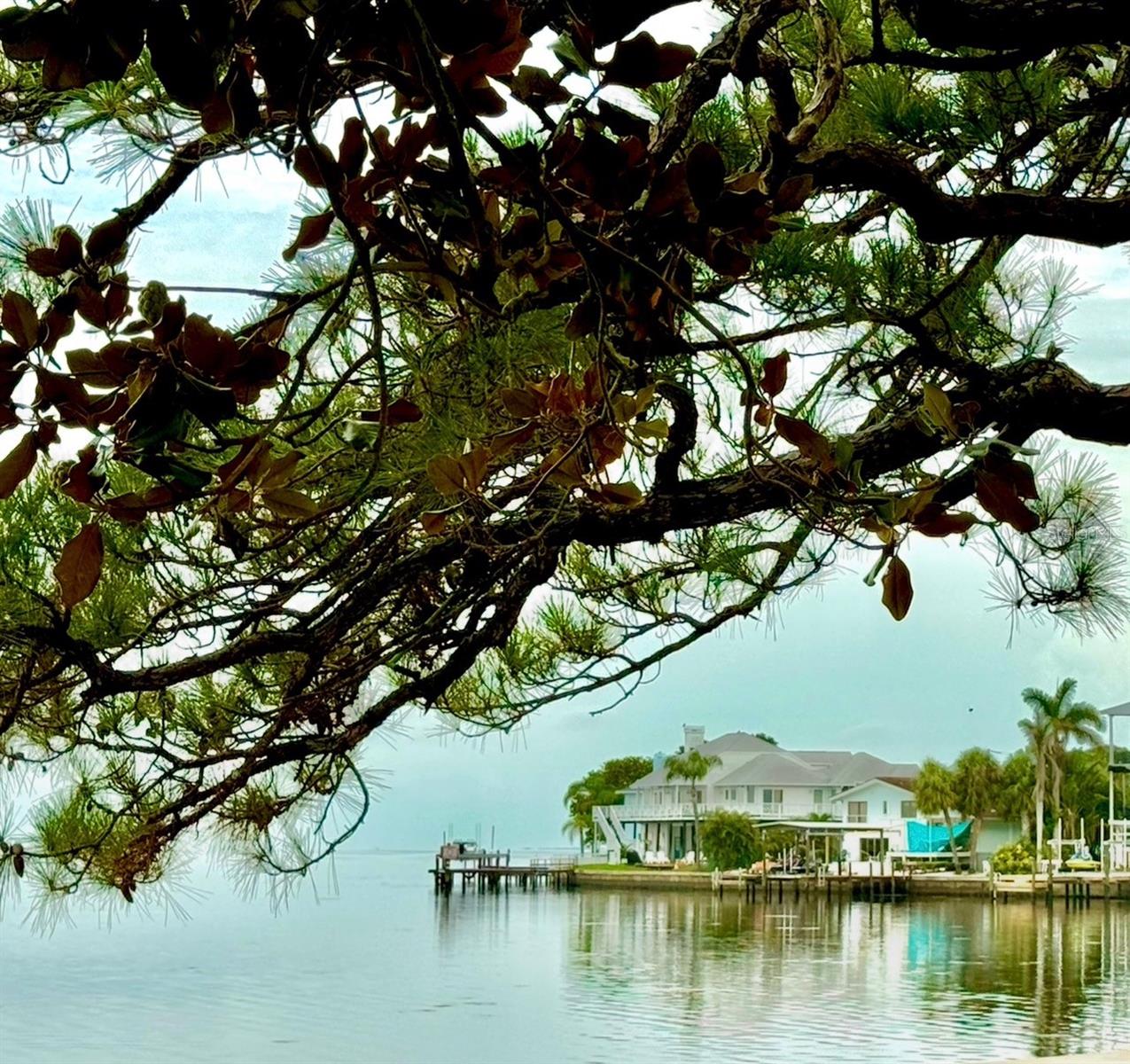 121 AUGUSTA AVE, PALM HARBOR, FL, 34683