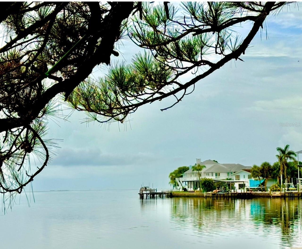 121 AUGUSTA AVE, PALM HARBOR, FL, 34683