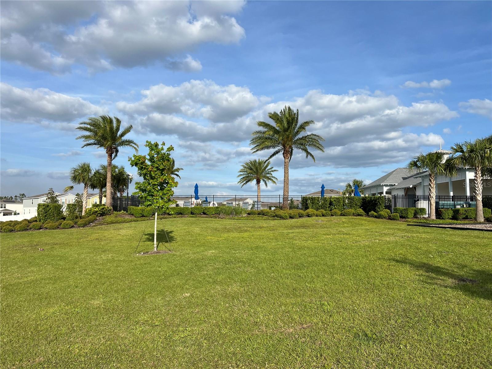 3009 TANSY ST, TAVARES, FL, 32778