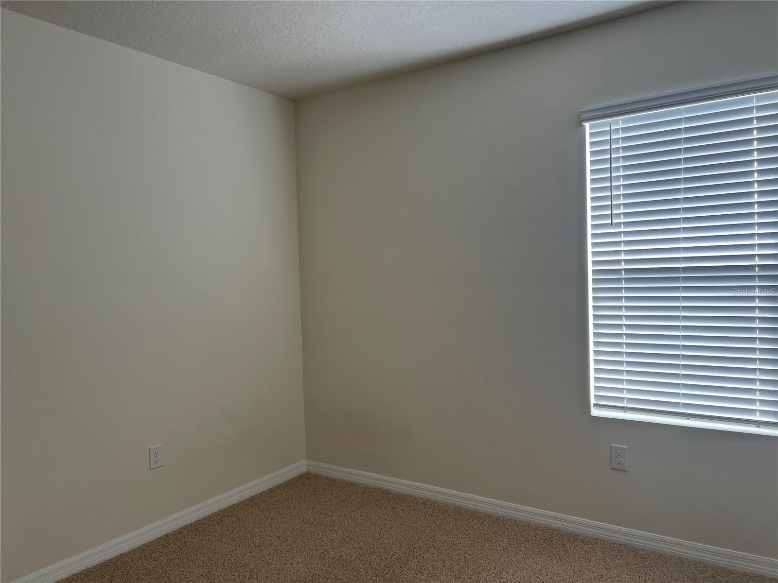3009 TANSY ST, TAVARES, FL, 32778