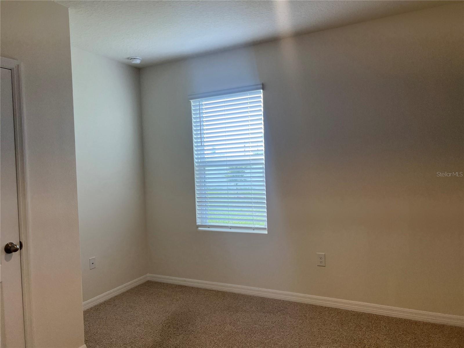 3009 TANSY ST, TAVARES, FL, 32778