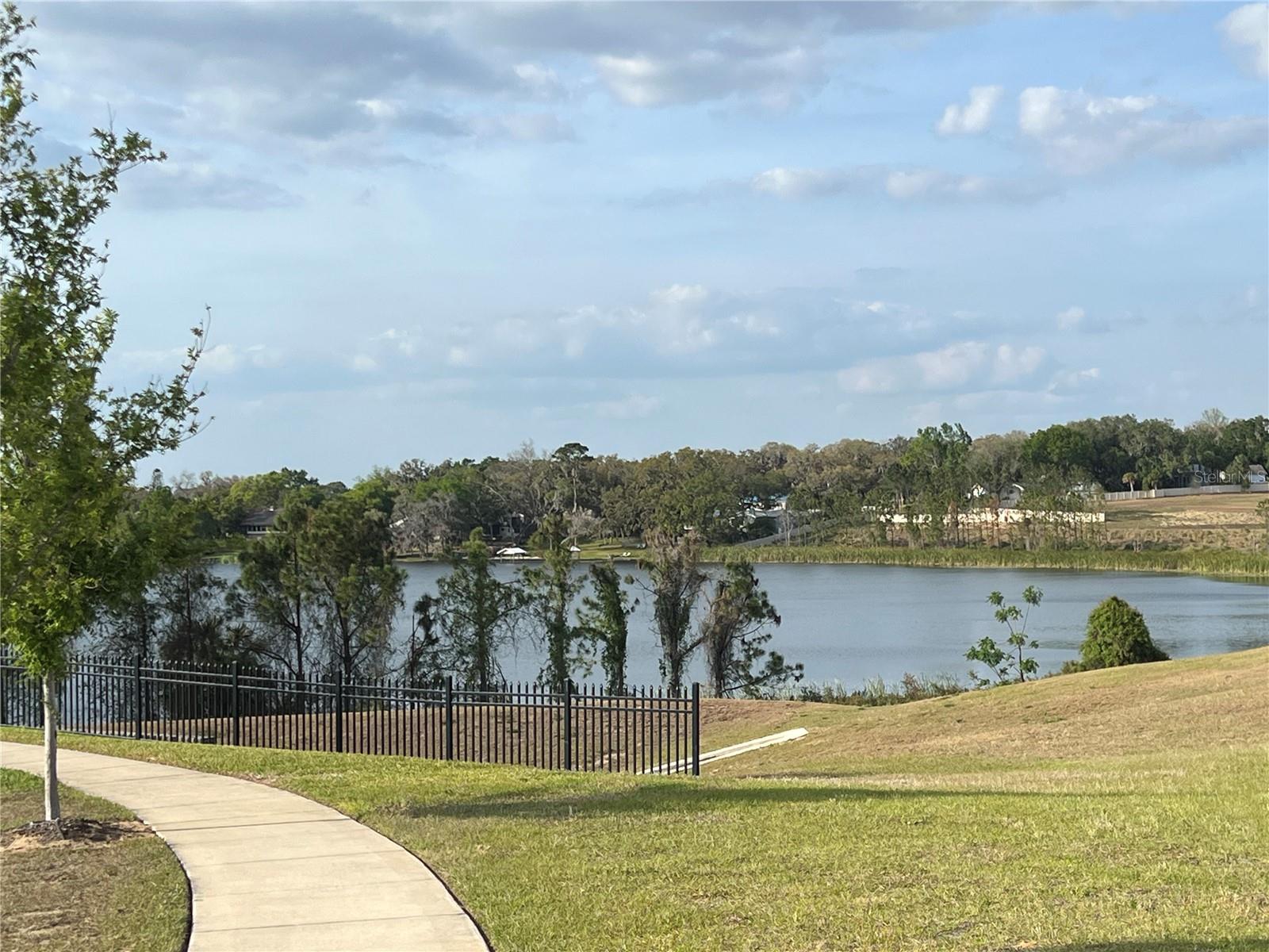 3009 TANSY ST, TAVARES, FL, 32778