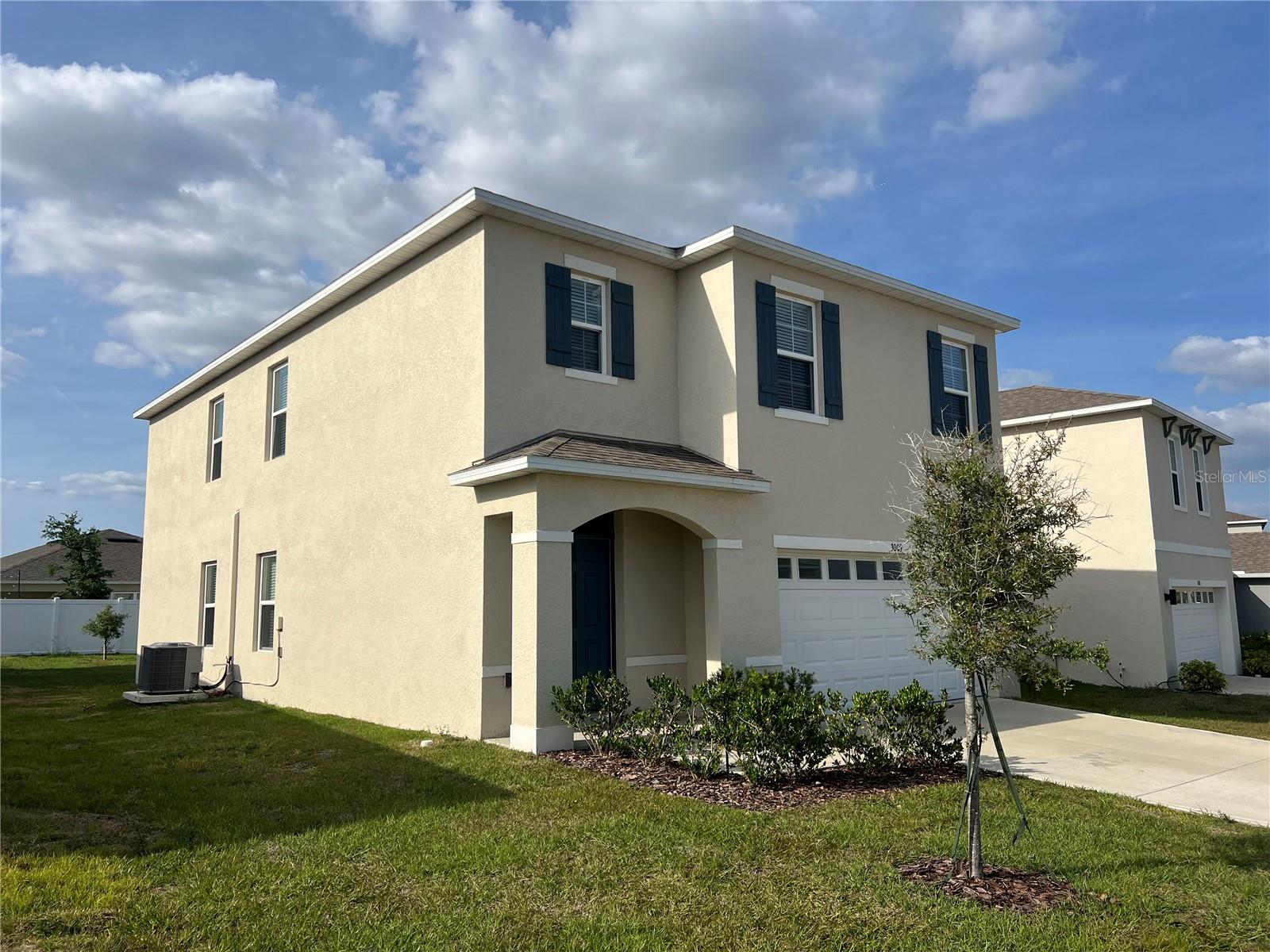 3009 TANSY ST, TAVARES, FL, 32778