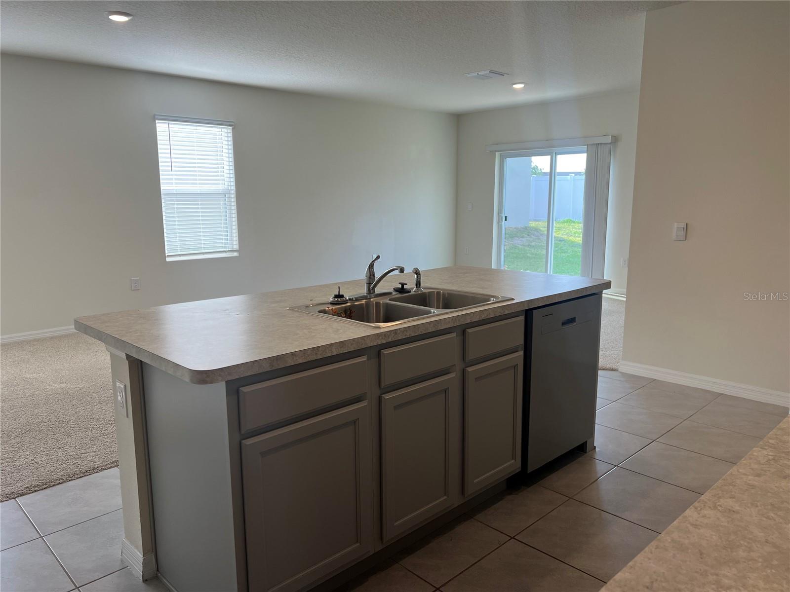 3009 TANSY ST, TAVARES, FL, 32778
