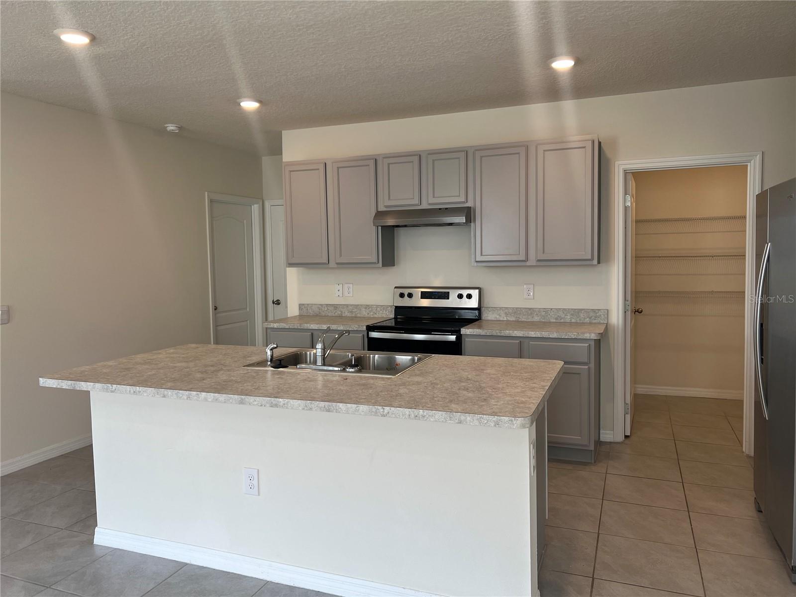 3009 TANSY ST, TAVARES, FL, 32778