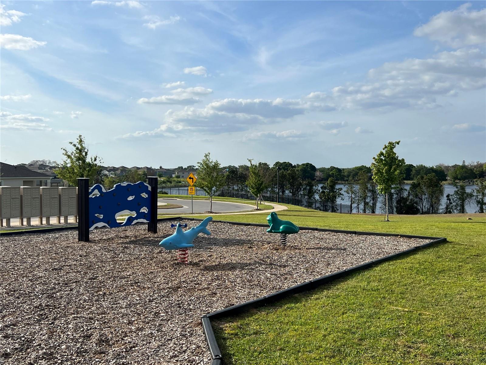 3009 TANSY ST, TAVARES, FL, 32778