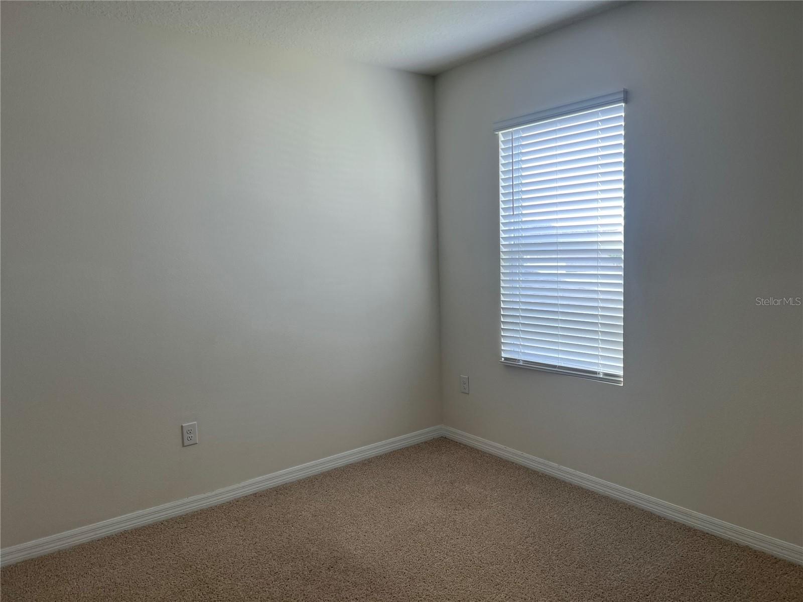 3009 TANSY ST, TAVARES, FL, 32778