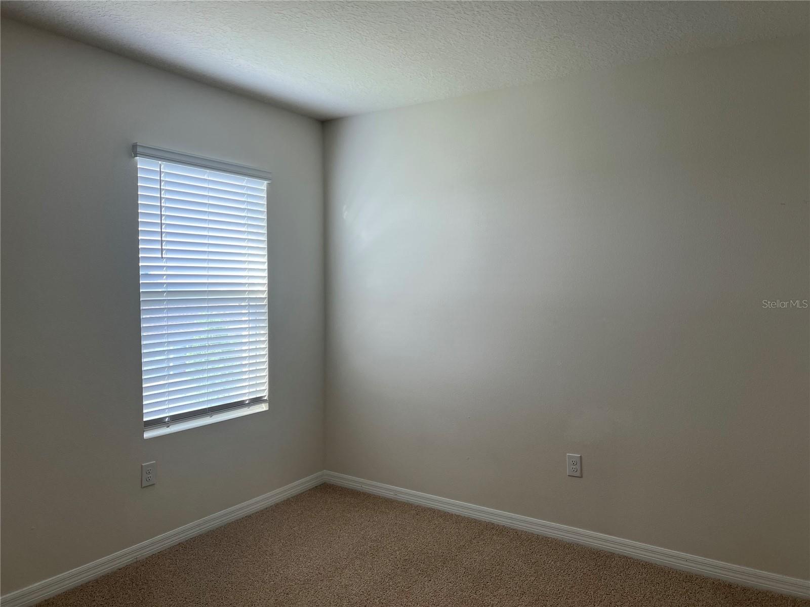 3009 TANSY ST, TAVARES, FL, 32778