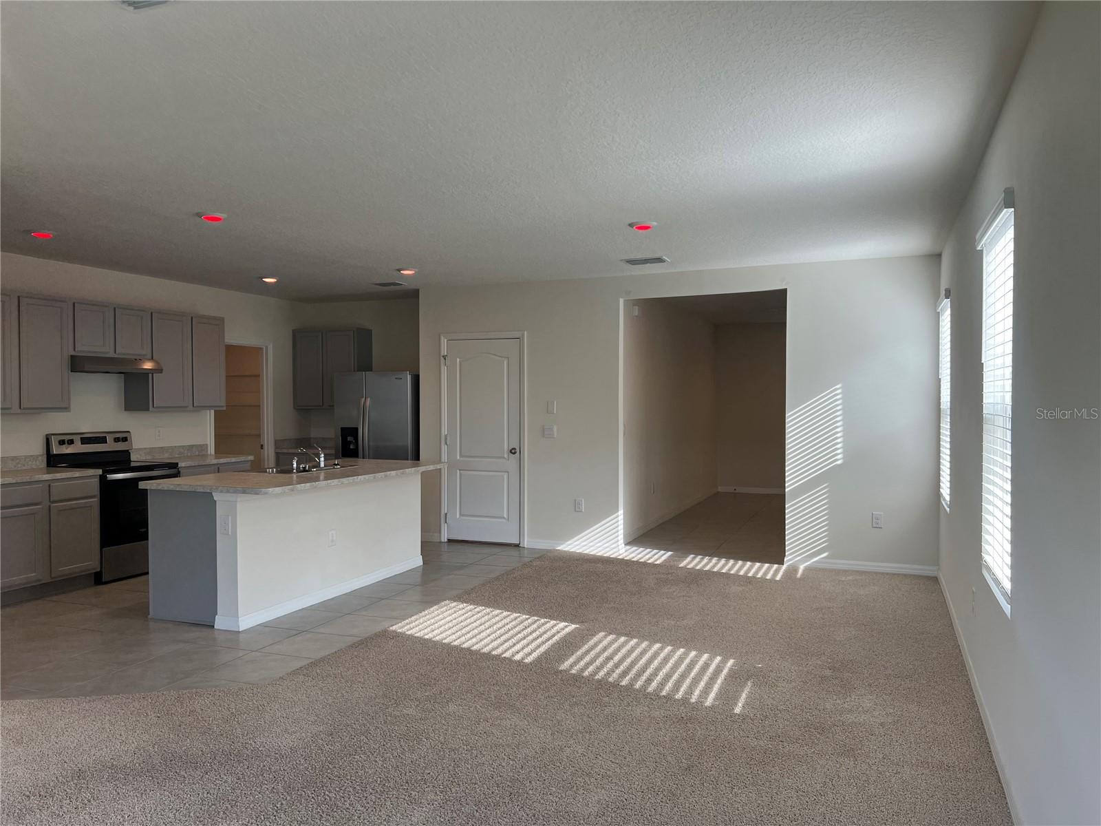 3009 TANSY ST, TAVARES, FL, 32778