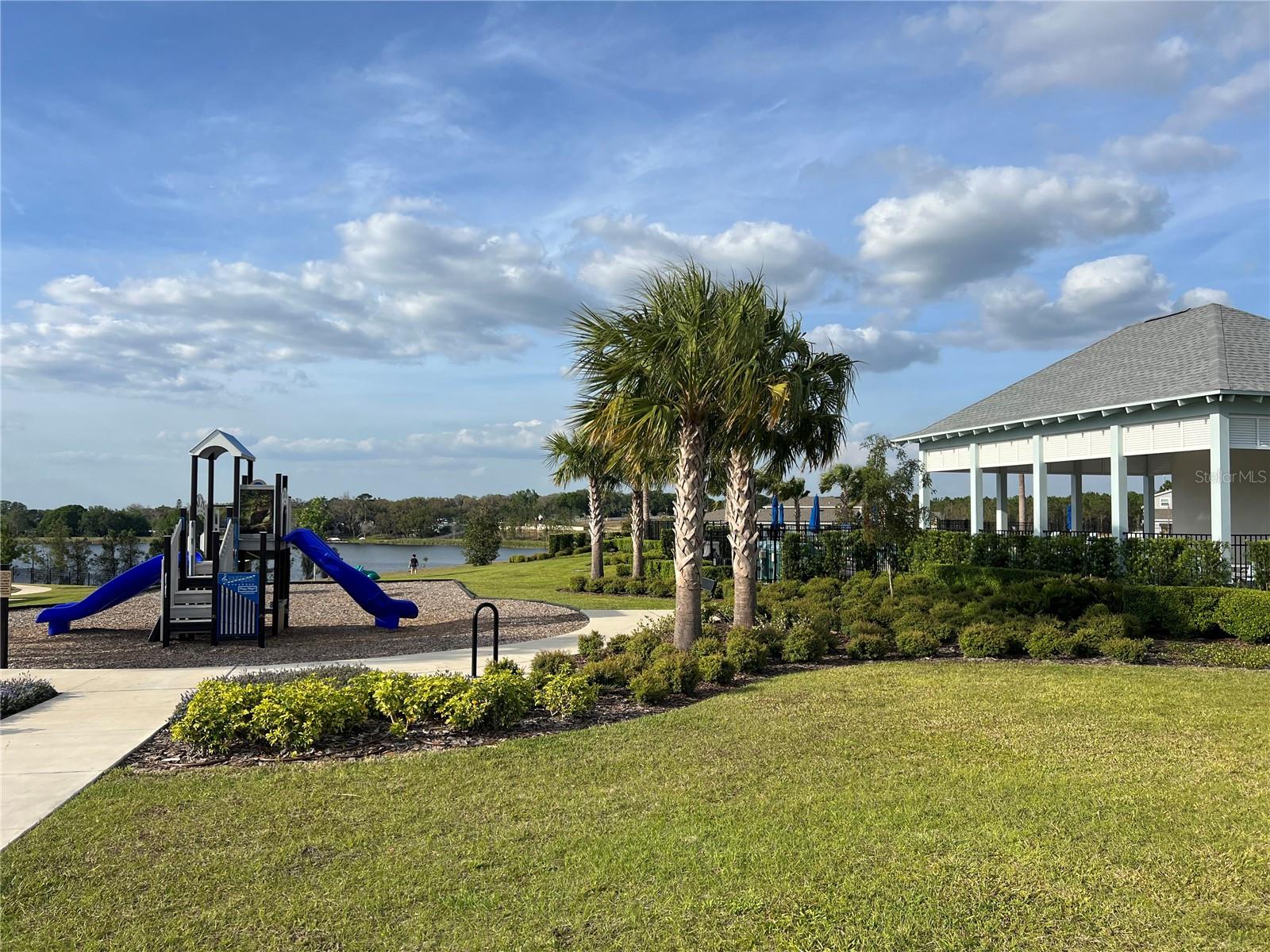3009 TANSY ST, TAVARES, FL, 32778