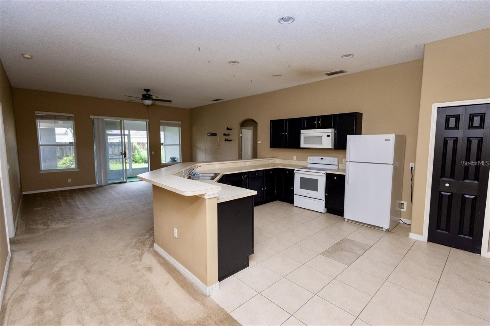 818 CARROUSEL LN, KISSIMMEE, FL, 34759