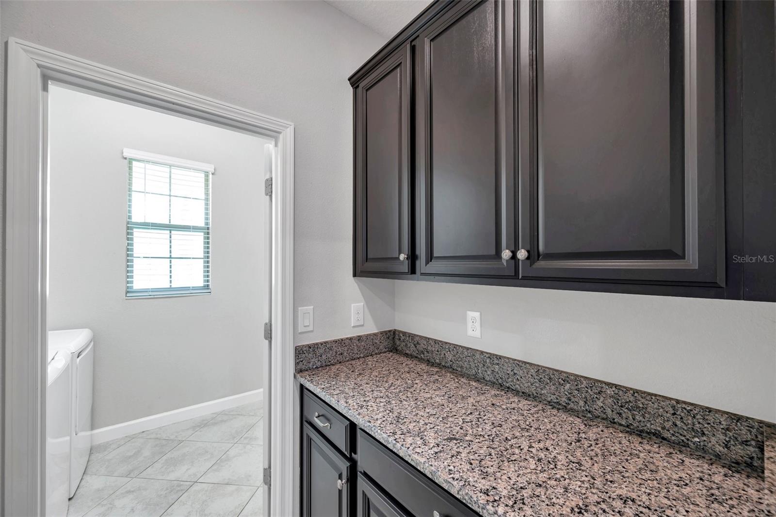 11820 SUNBURST MARBLE RD, RIVERVIEW, FL, 33579