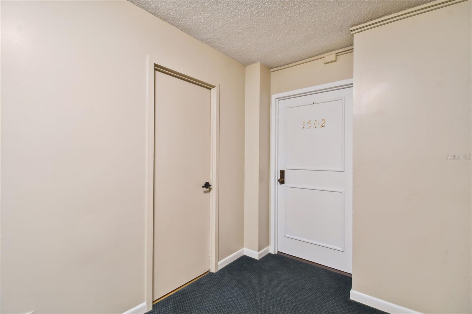 2611 BAYSHORE BLVD #1502, TAMPA, FL, 33629