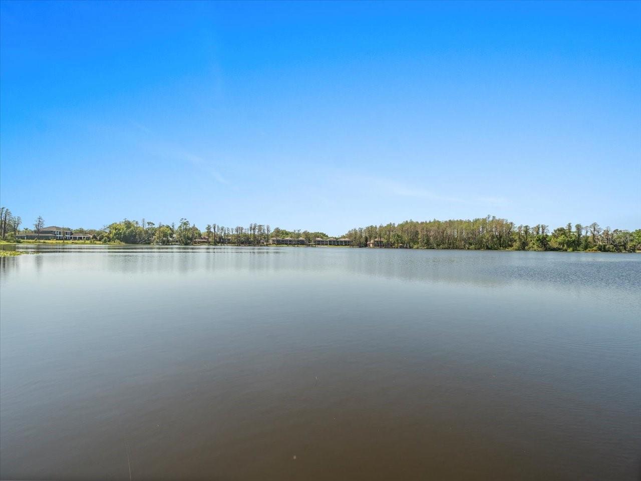 3210 STONEYBROOK LN, TAMPA, FL, 33618