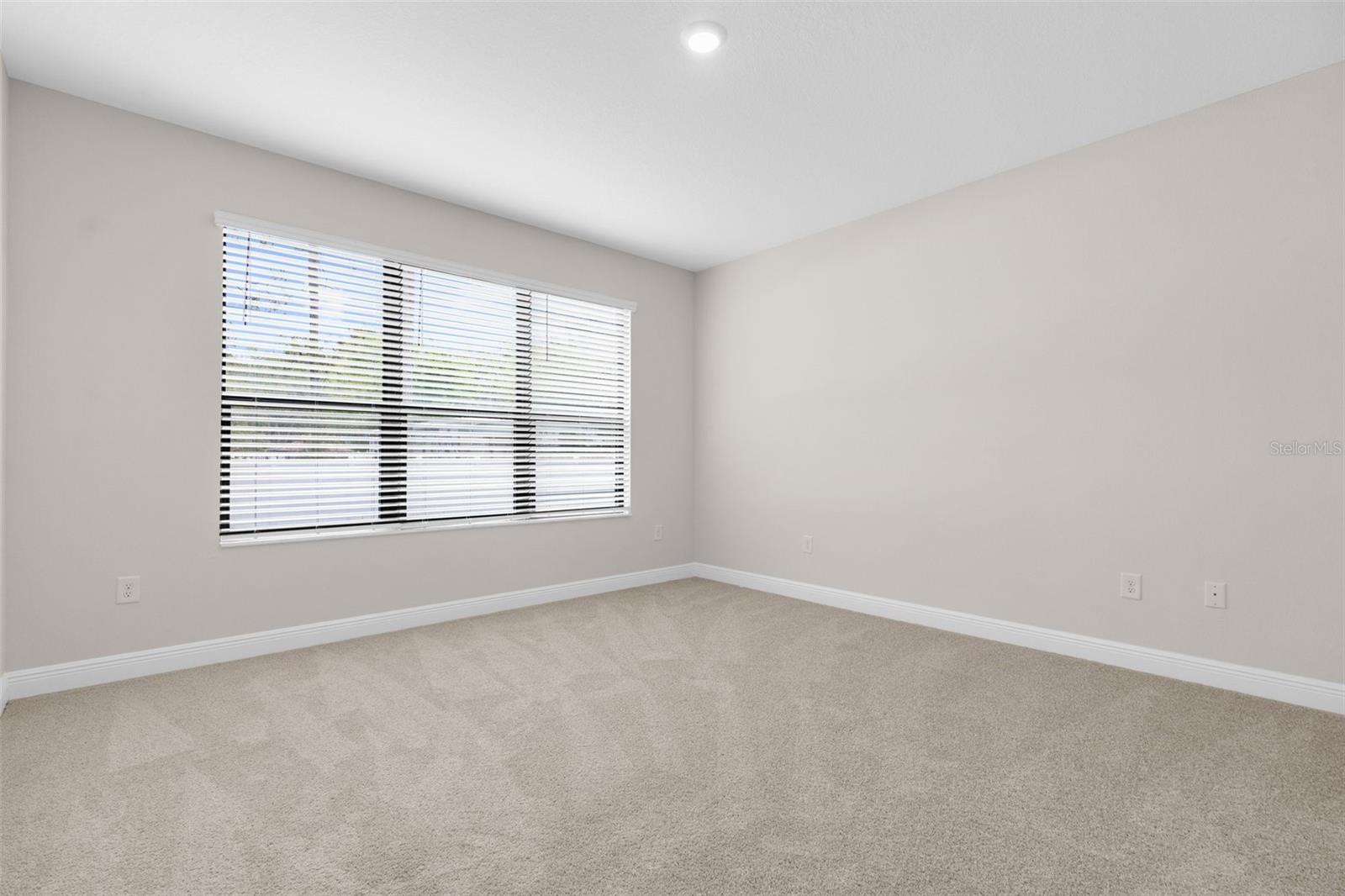 11474 WEAVER HOLLOW RD, NEW PORT RICHEY, FL, 34654