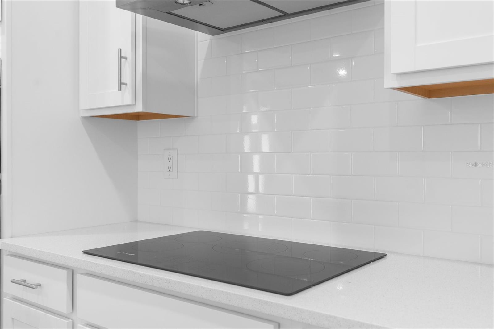 11474 WEAVER HOLLOW RD, NEW PORT RICHEY, FL, 34654