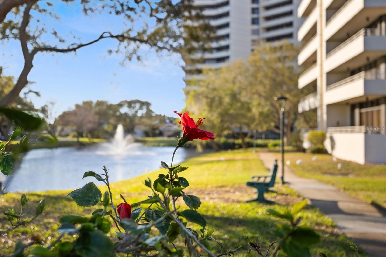 5950 PELICAN BAY PLZ S #603, GULFPORT, FL, 33707
