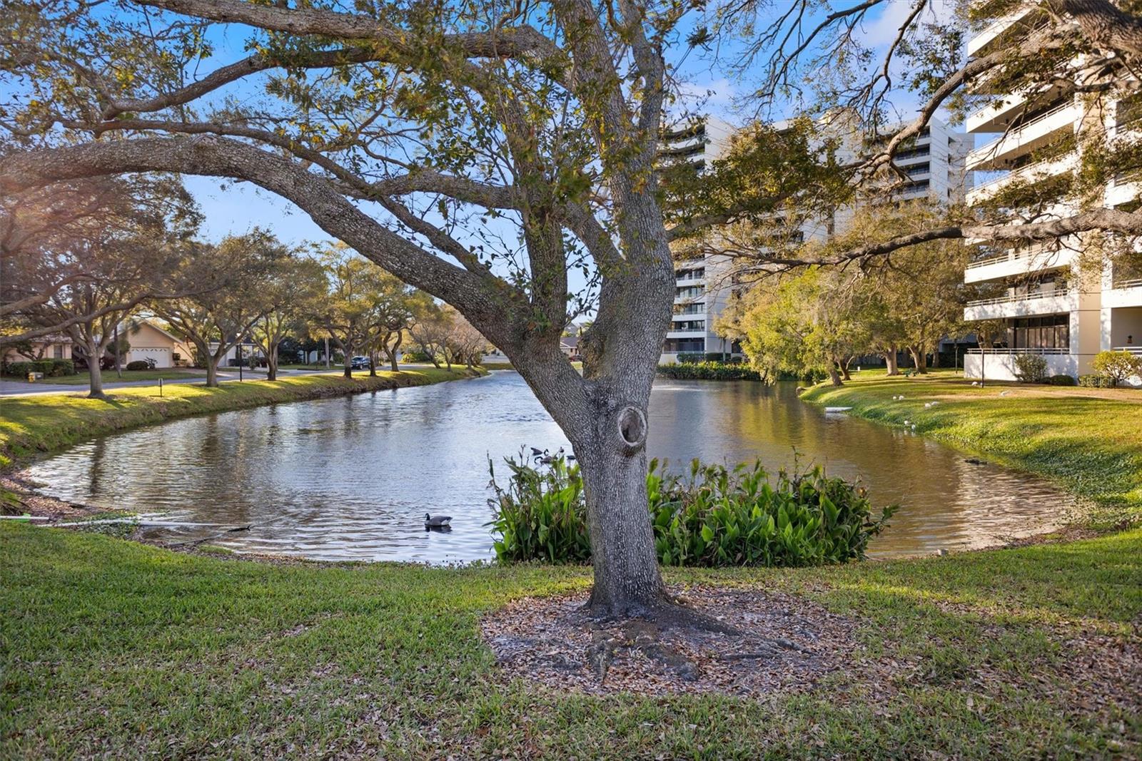 5950 PELICAN BAY PLZ S #603, GULFPORT, FL, 33707