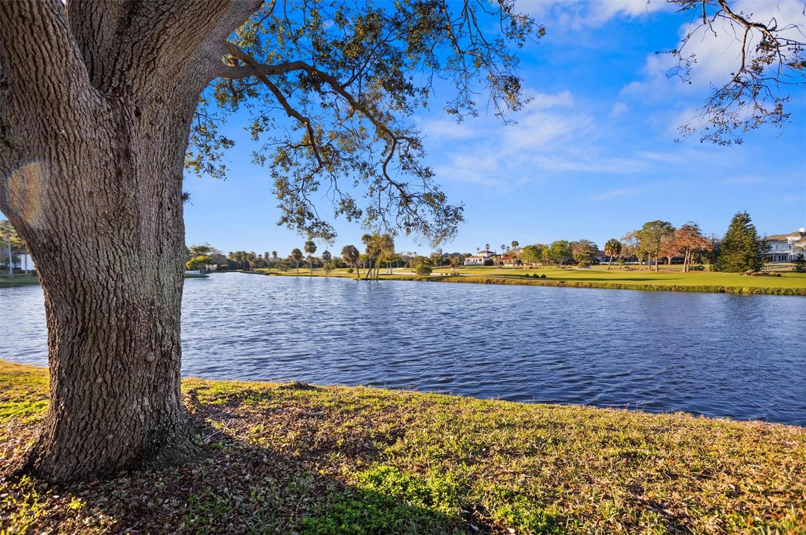 5950 PELICAN BAY PLZ S #603, GULFPORT, FL, 33707