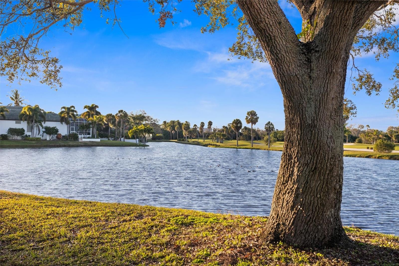 5950 PELICAN BAY PLZ S #603, GULFPORT, FL, 33707