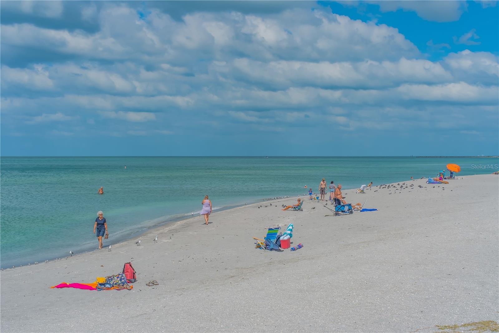 568 SHERIDAN DR, VENICE, FL, 34293