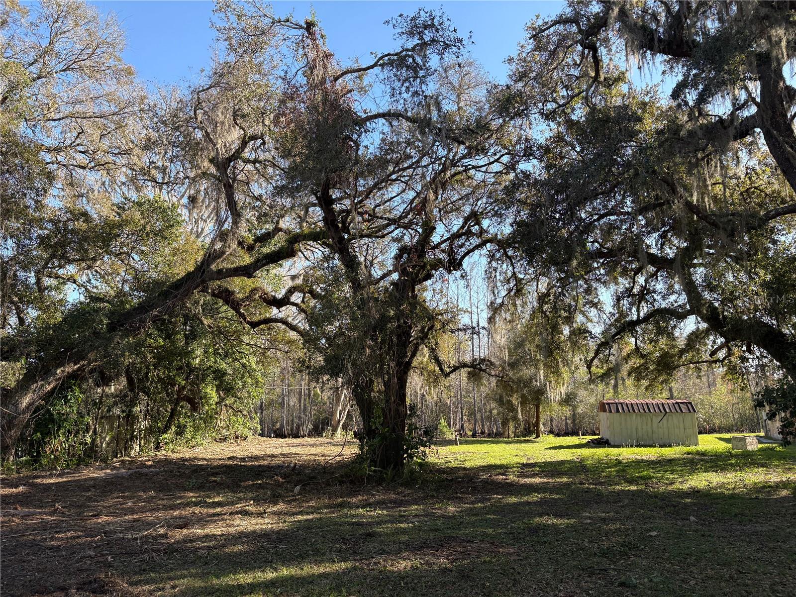 10500 E GOBBLER DR, FLORAL CITY, FL, 34436