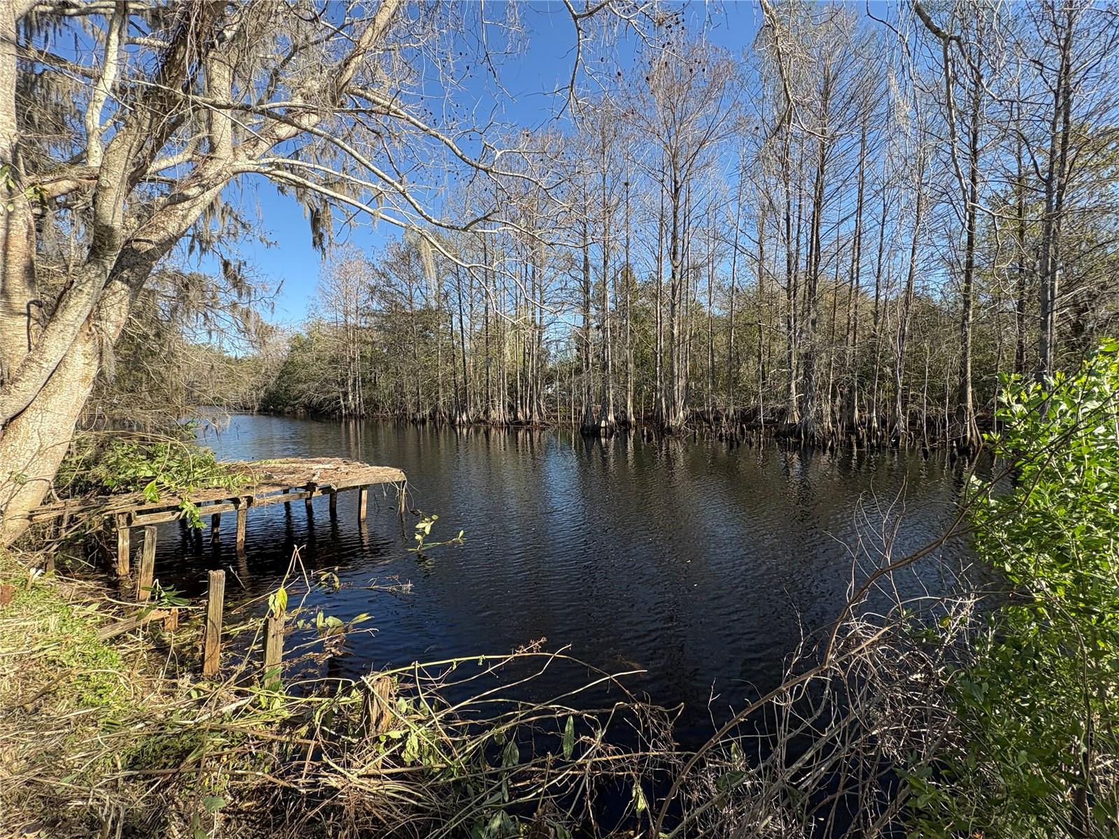 10500 E GOBBLER DR, FLORAL CITY, FL, 34436