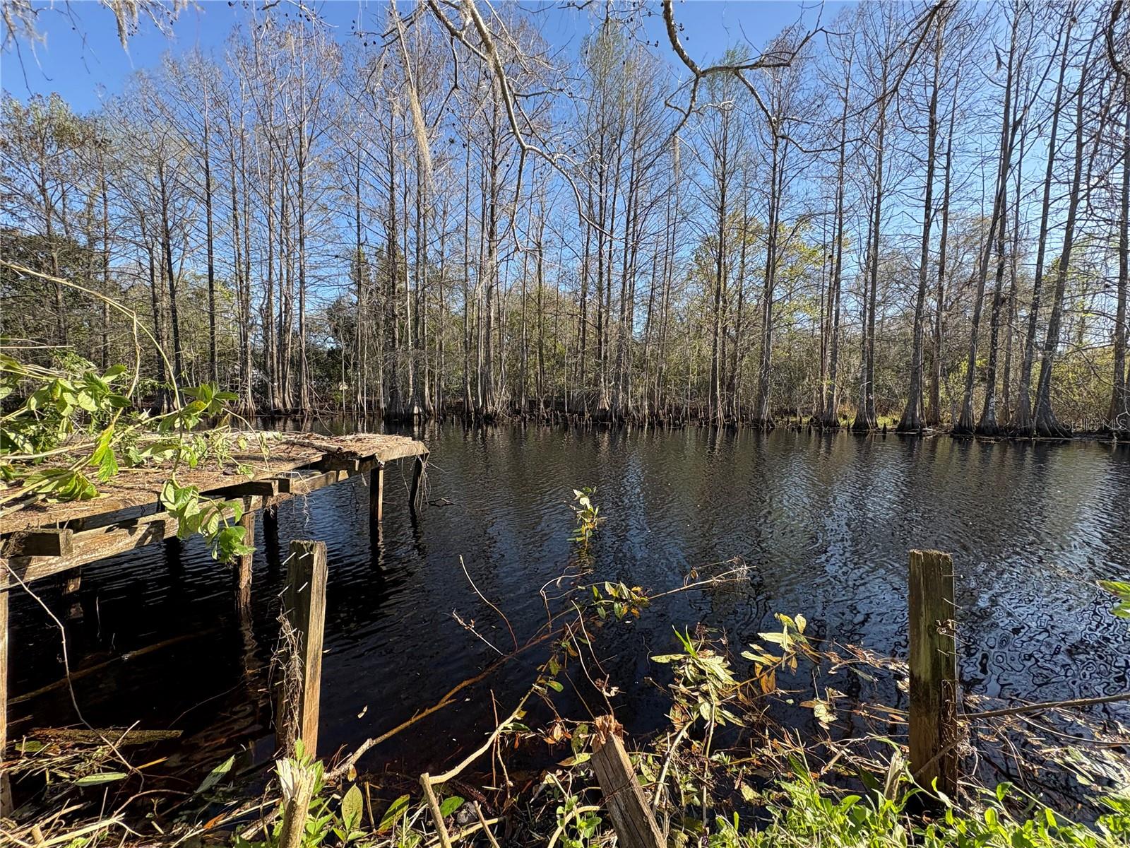 10500 E GOBBLER DR, FLORAL CITY, FL, 34436