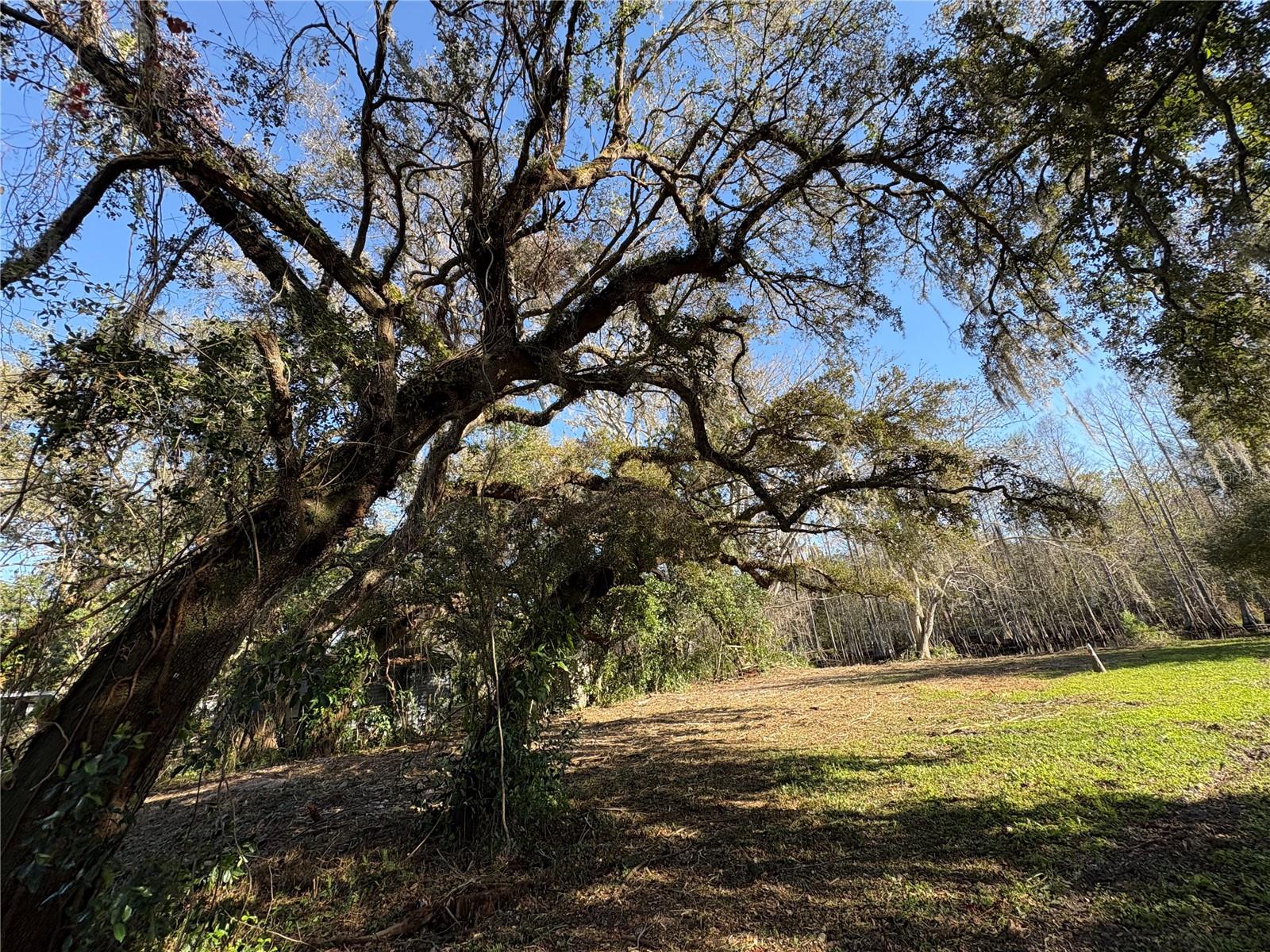 10500 E GOBBLER DR, FLORAL CITY, FL, 34436