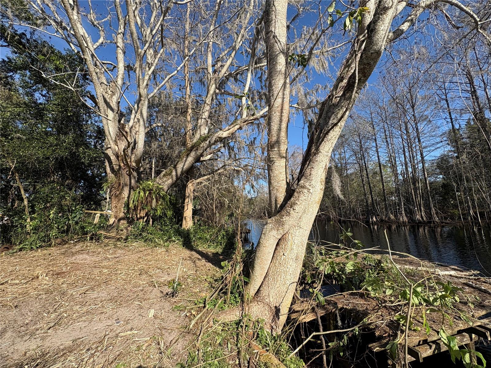 10500 E GOBBLER DR, FLORAL CITY, FL, 34436