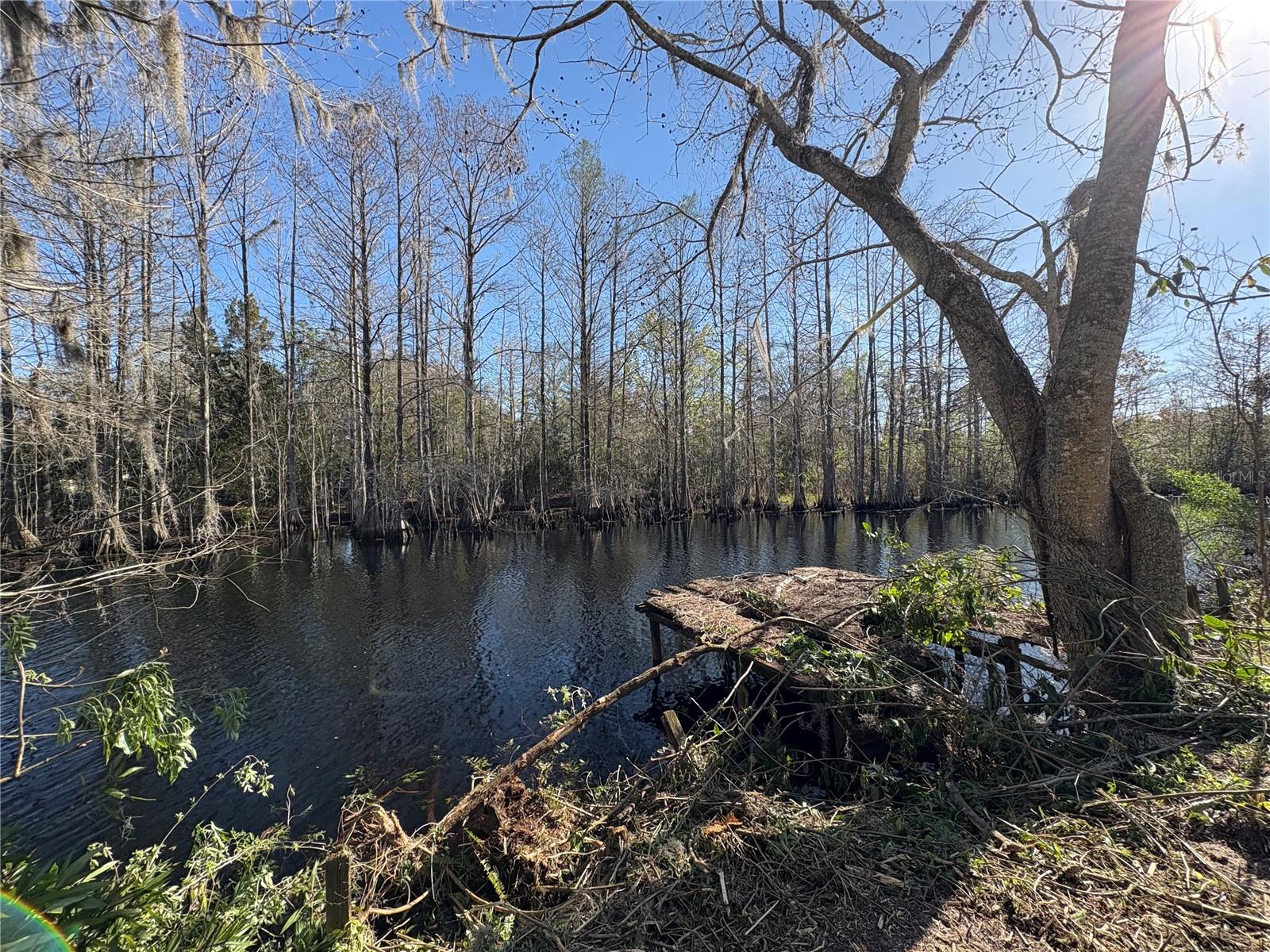 10500 E GOBBLER DR, FLORAL CITY, FL, 34436