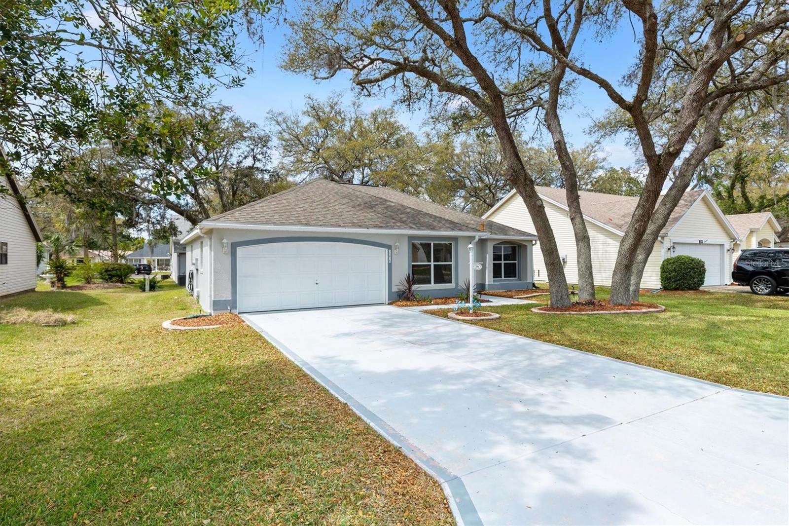 206 DESOTA CT, THE VILLAGES, FL, 32159