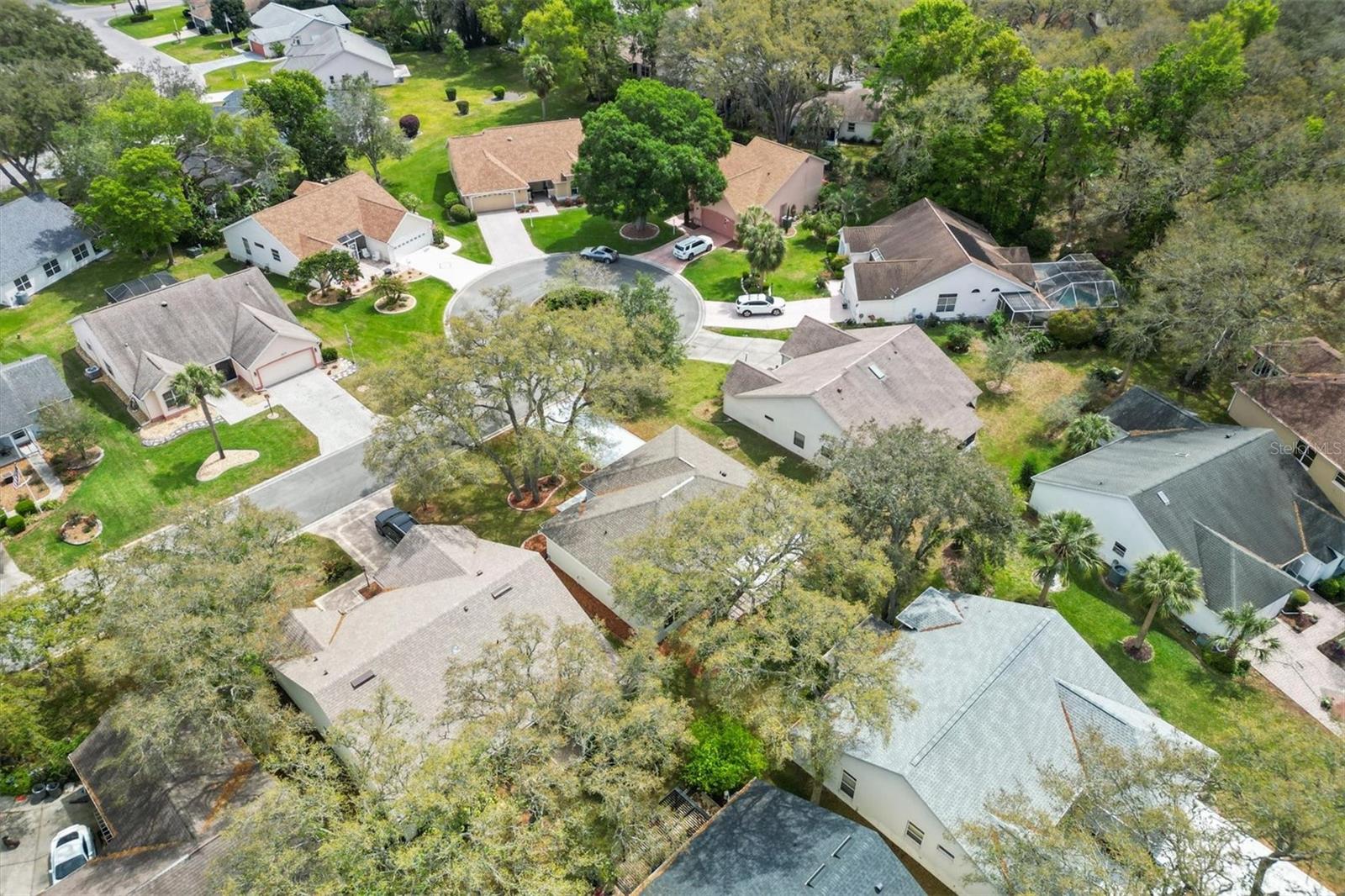 206 DESOTA CT, THE VILLAGES, FL, 32159