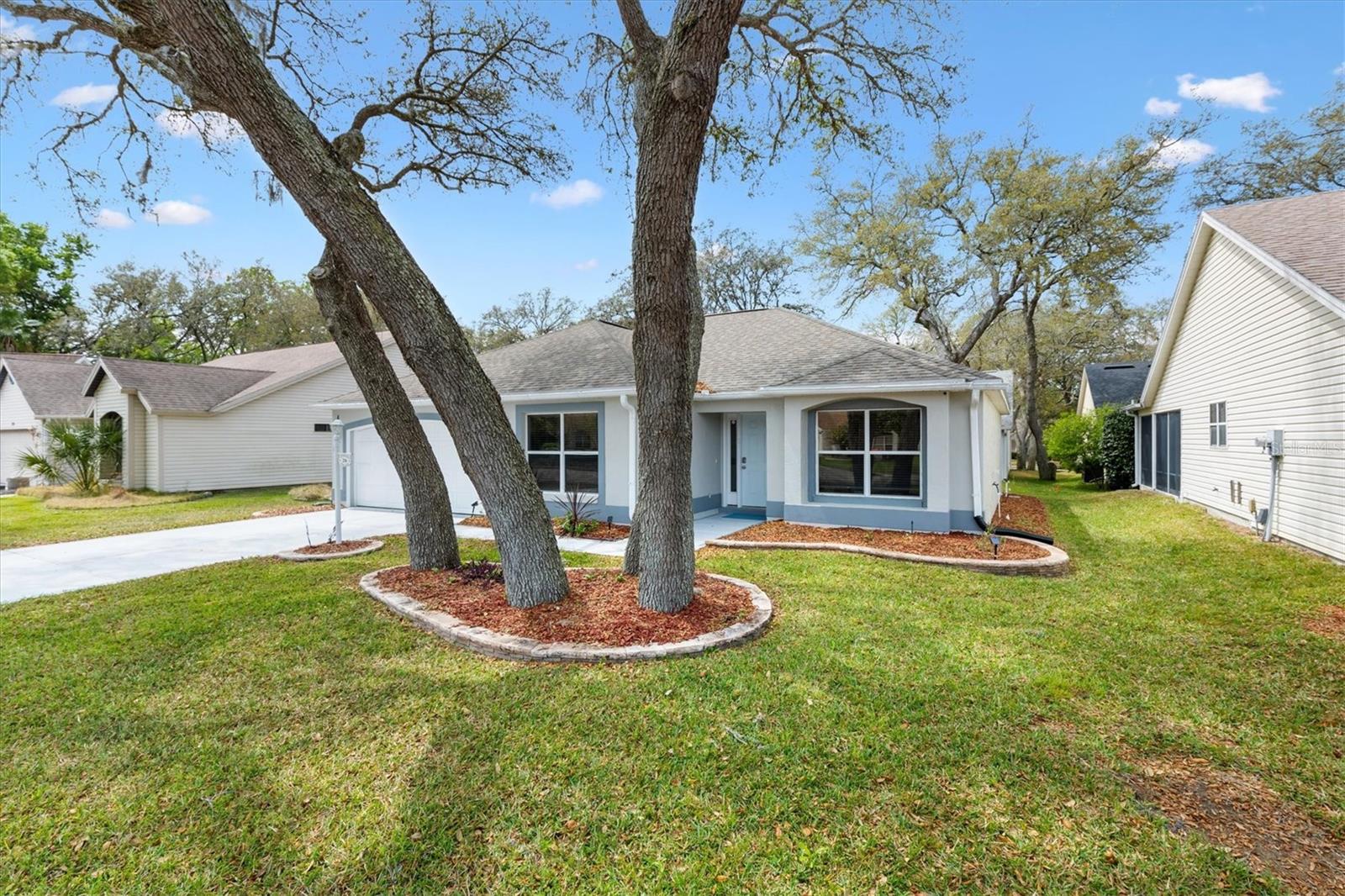 206 DESOTA CT, THE VILLAGES, FL, 32159