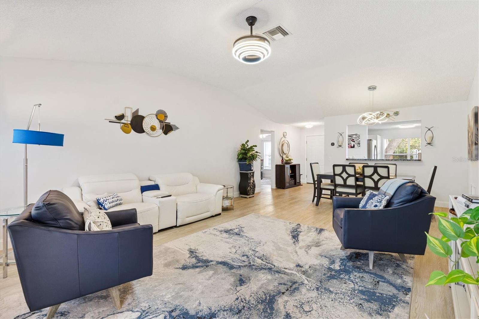 206 DESOTA CT, THE VILLAGES, FL, 32159