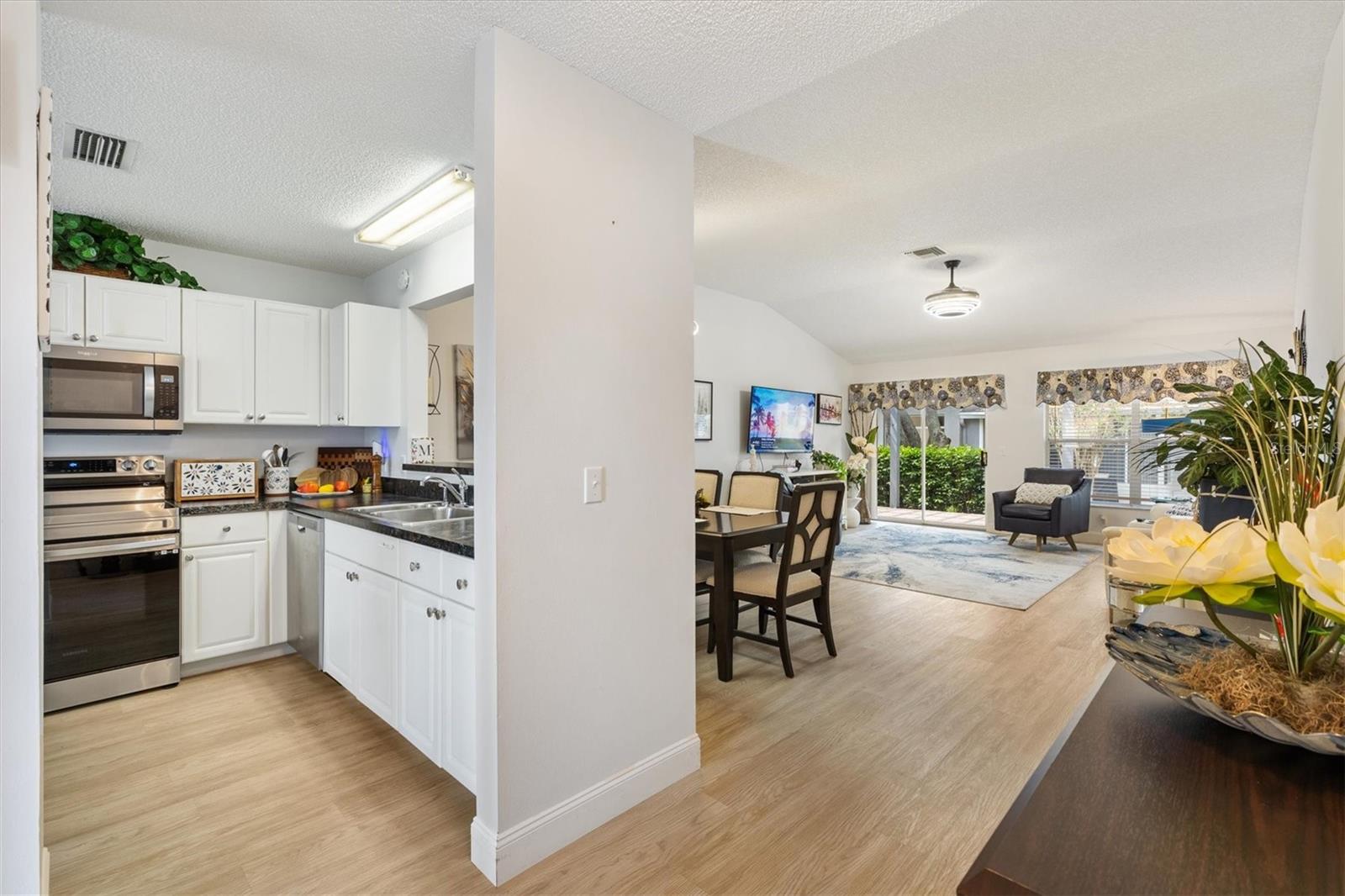 206 DESOTA CT, THE VILLAGES, FL, 32159