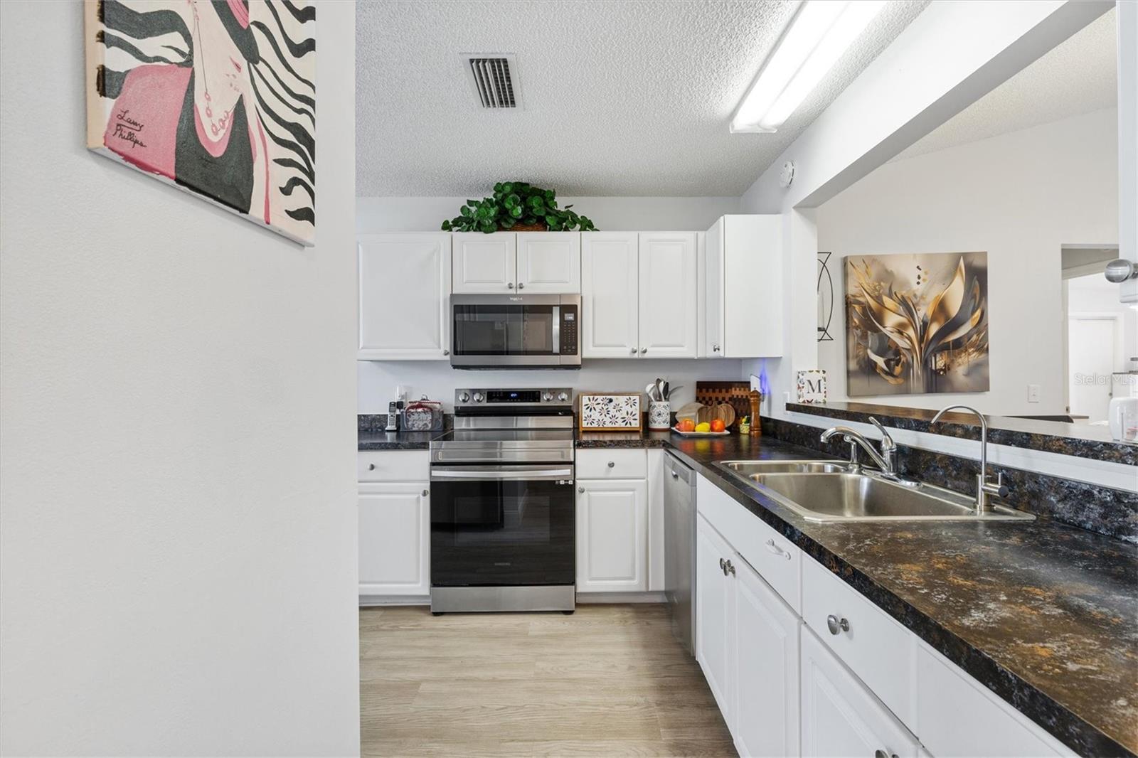 206 DESOTA CT, THE VILLAGES, FL, 32159