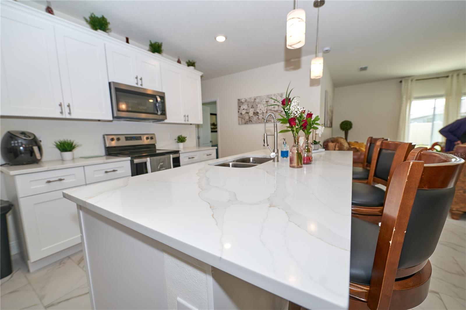 1236 BERRY LN, DAVENPORT, FL, 33837