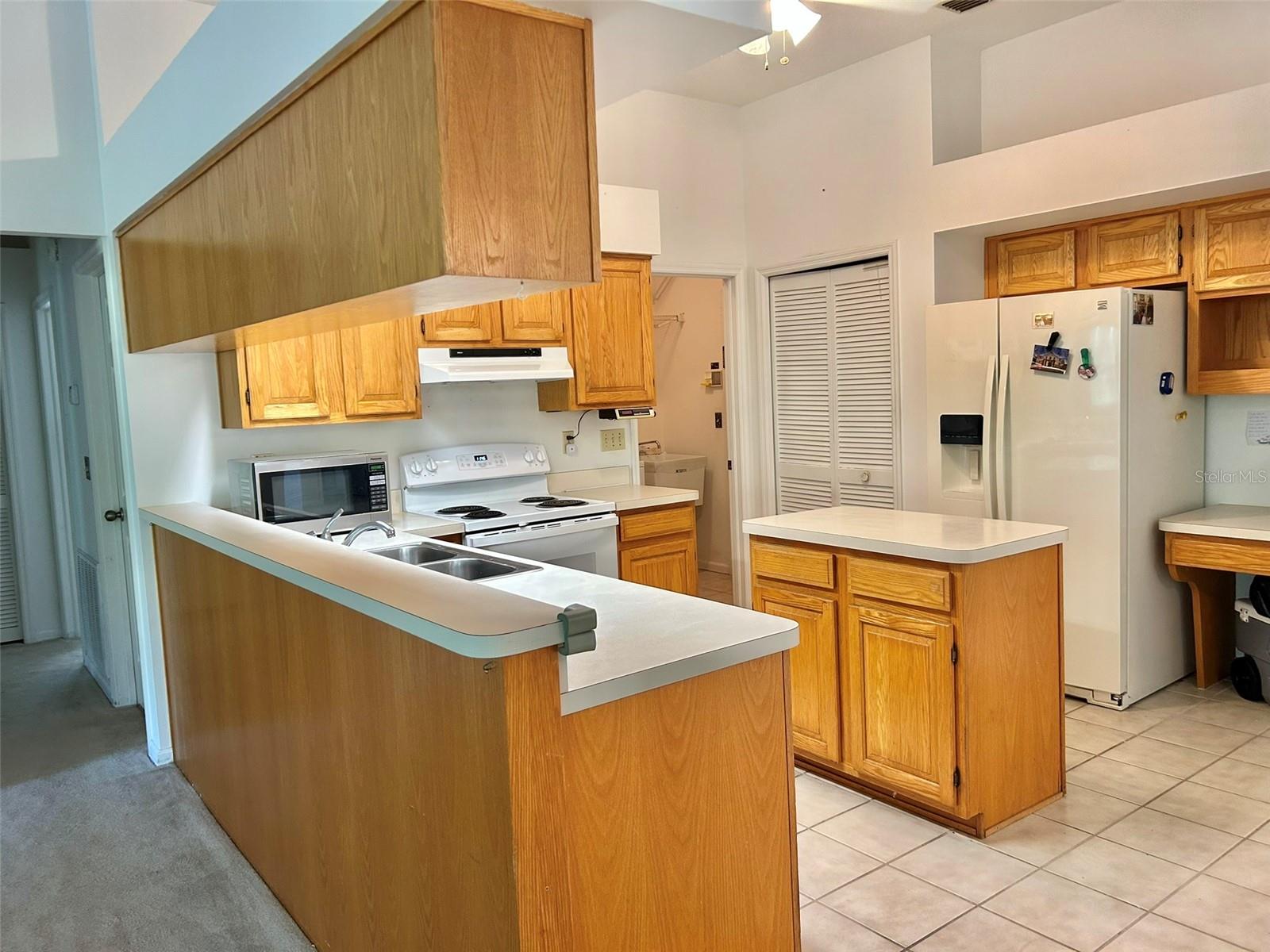3916 APPLETREE DR, VALRICO, FL, 33594