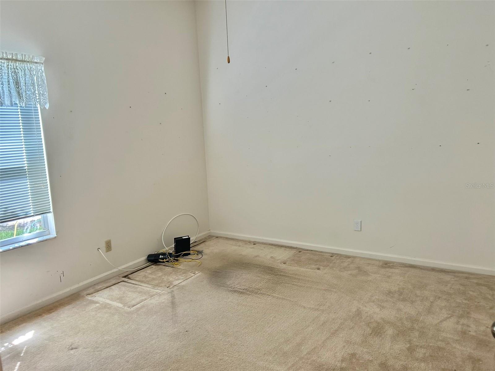 3916 APPLETREE DR, VALRICO, FL, 33594