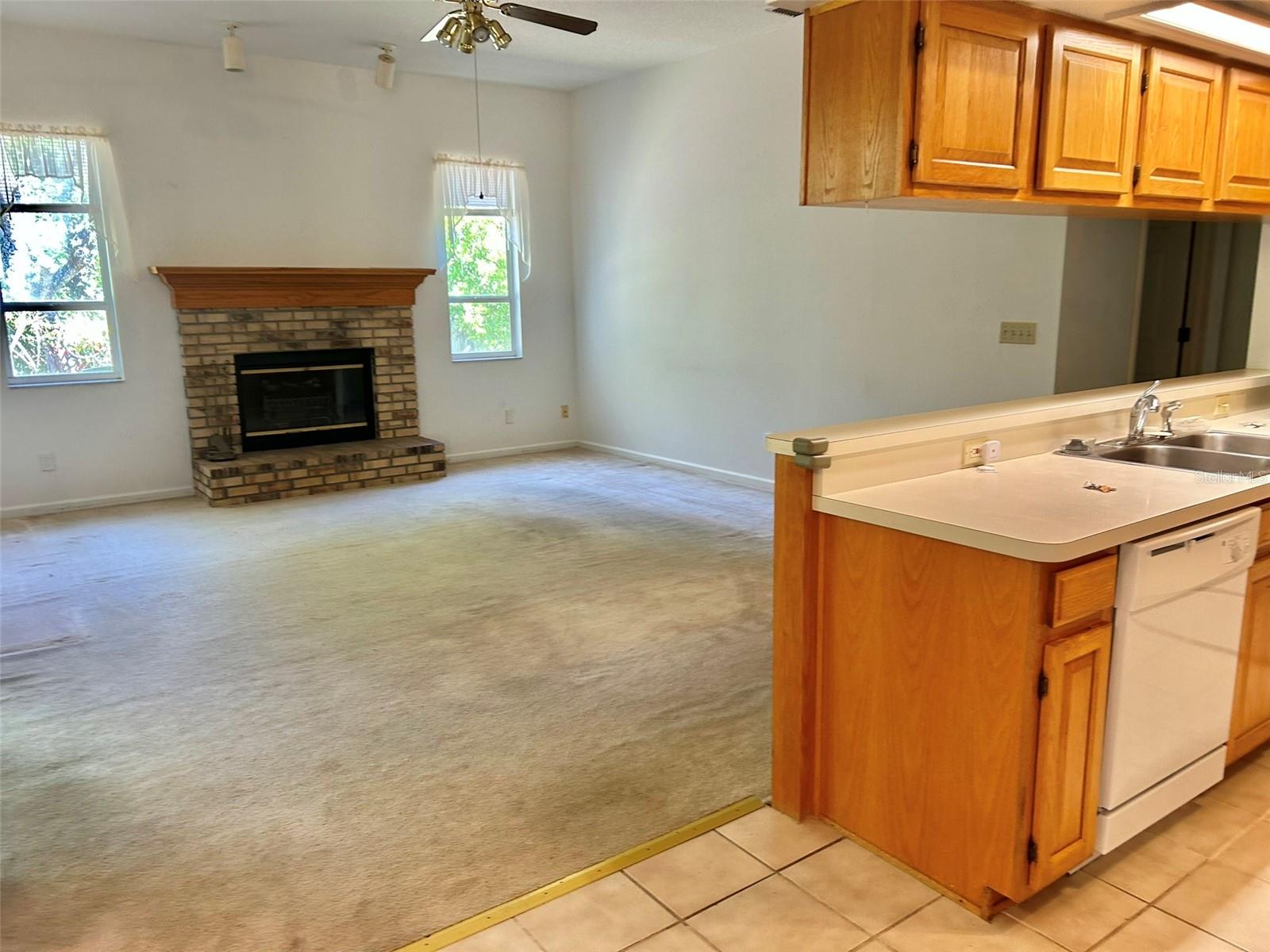 3916 APPLETREE DR, VALRICO, FL, 33594