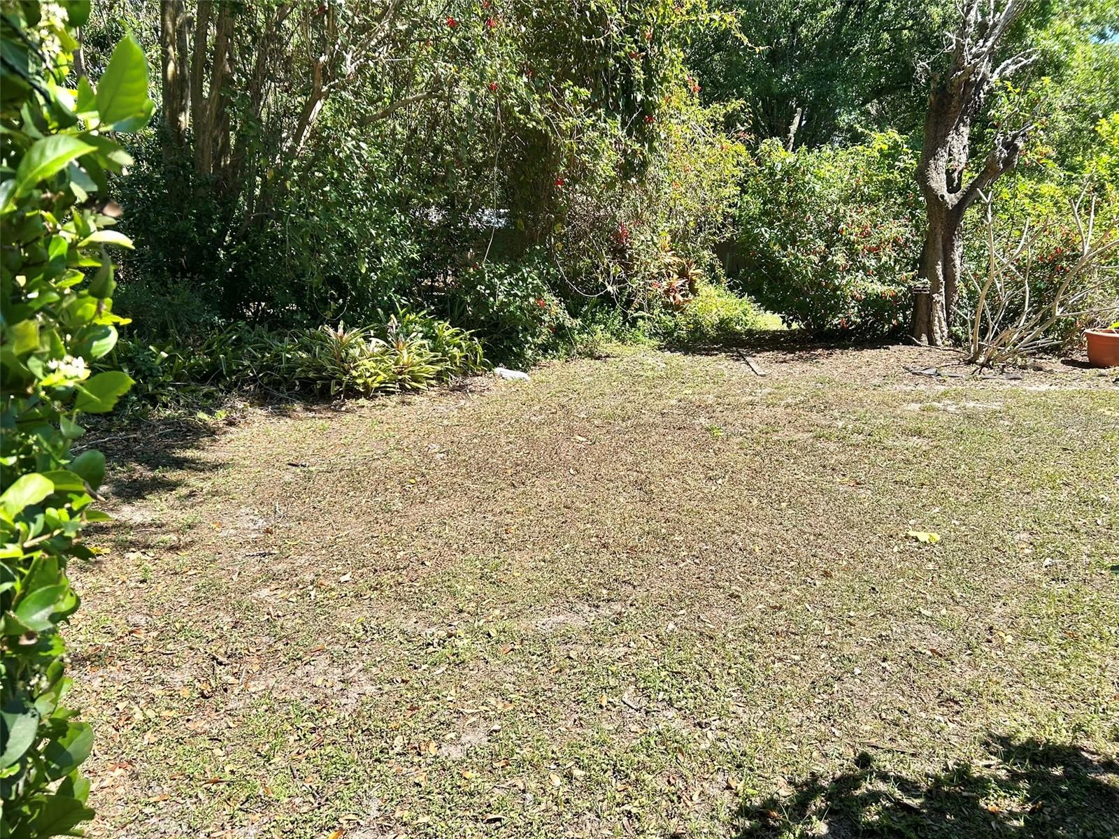 3916 APPLETREE DR, VALRICO, FL, 33594